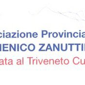 Associazione Provinciale Amici del Cuore Domenico Zanuttini