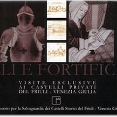 Consorzio per la salvaguardia dei castelli storici del Friuli Venezia Giulia. Attività 2008 con particolare riguardo alle visite didattiche