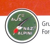 Associazione Nazionale Alpini - Gruppo Forgaria nel Friuli