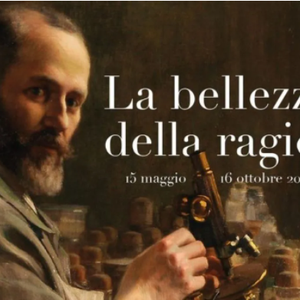La bellezza della ragione