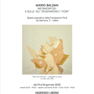 MARIO BALDAN METAMORFOSI: E SULLE “ALI” SPUNTARONO I “FIORI”