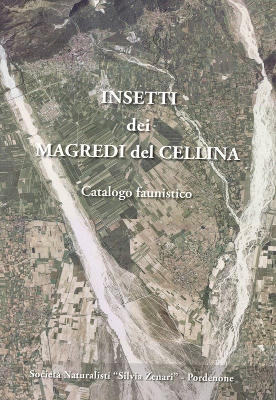 Insetti dei magredi del Cellina