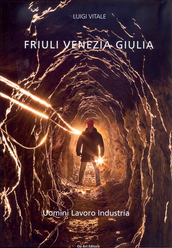 Friuli Venezia Giulia Uomini Lavoro Industria