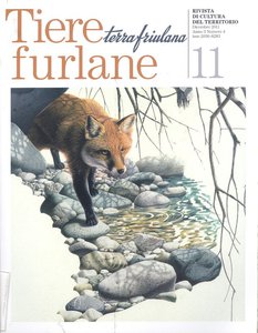 Tiere furlane - Terra friulana - 11