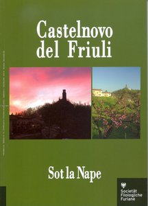 Castelnovo del Friuli