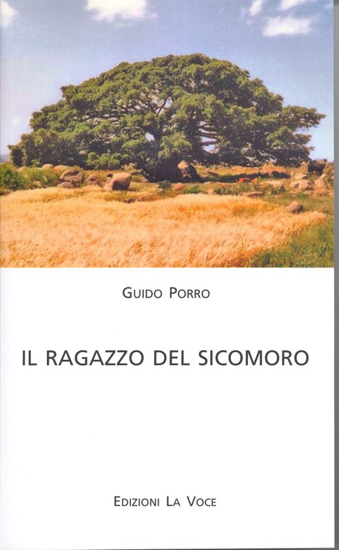 Il ragazzo del sicomoro