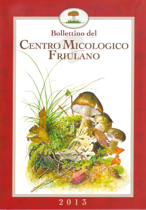 Bollettino del Centro Micologico Friulano 2013