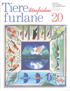 Tiere furlane - Terra friulana - 20