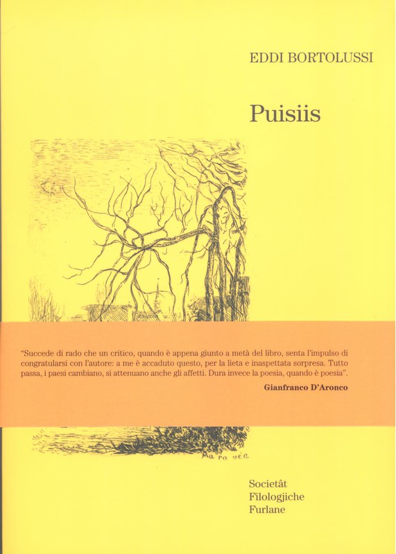 Puisiis