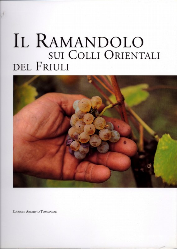 Il Ramandolo sui colli orientali del Friuli