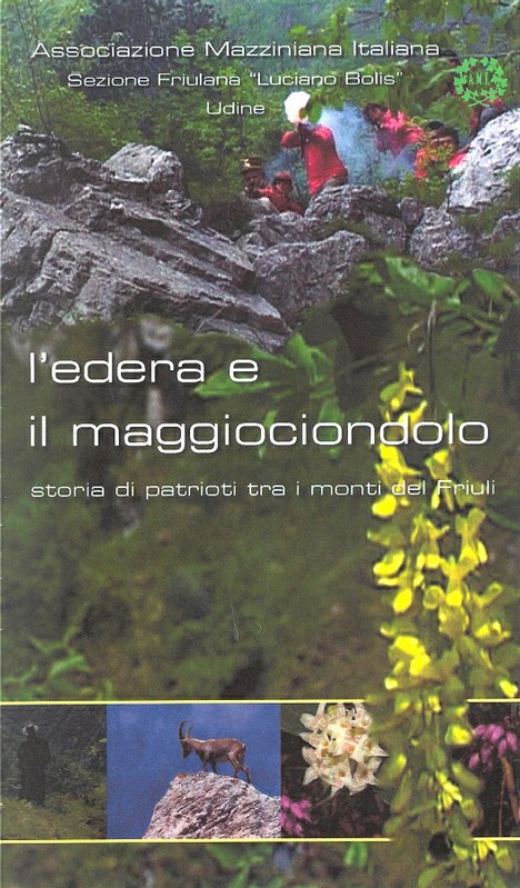 L'edera e il maggiociondolo