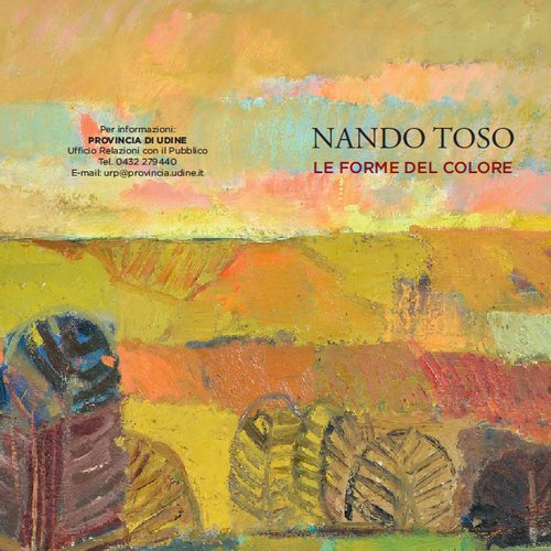 Nando Toso - Le forme del colore