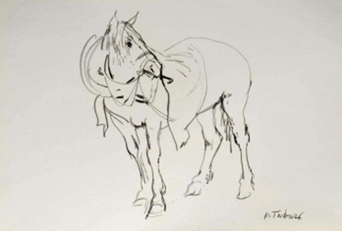 Cavallo con coperta