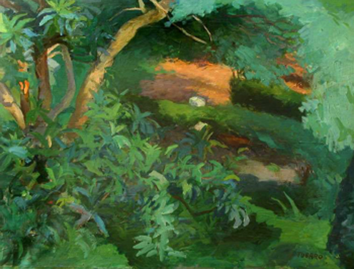 Giardino dello studio di via Marinoni