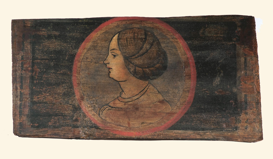 testa di donna
