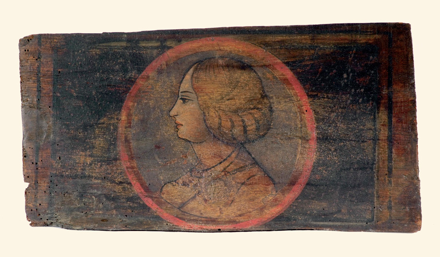 testa di donna