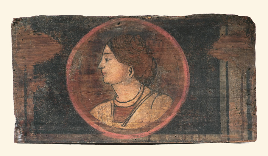 testa di donna