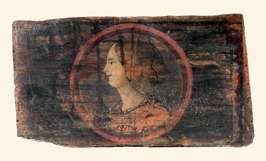 testa di donna