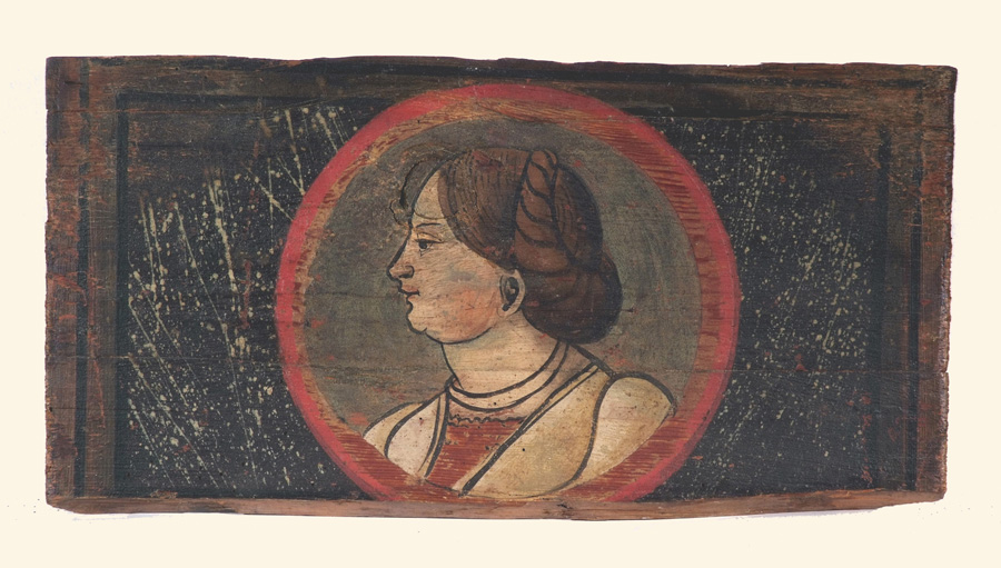 testa di donna