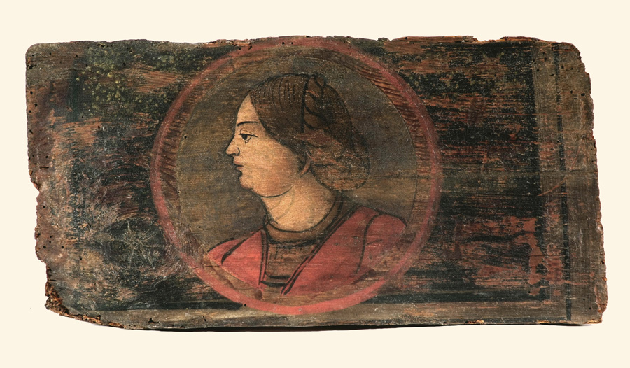 testa di donna