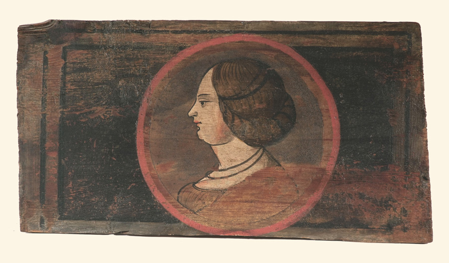 testa di donna
