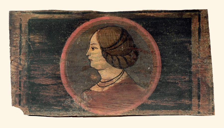 testa di donna