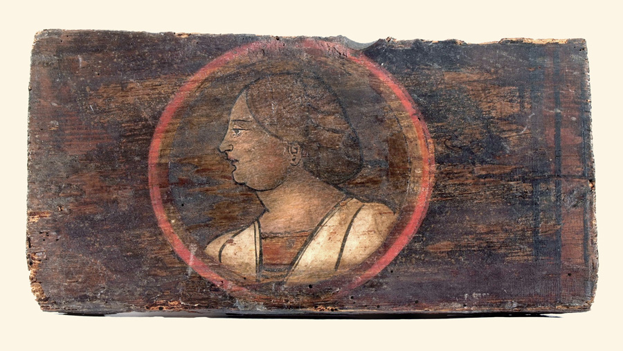 testa di donna