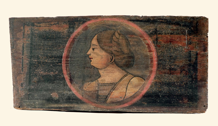 testa di donna