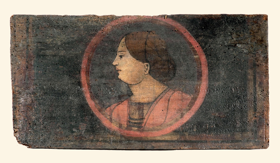 testa di donna