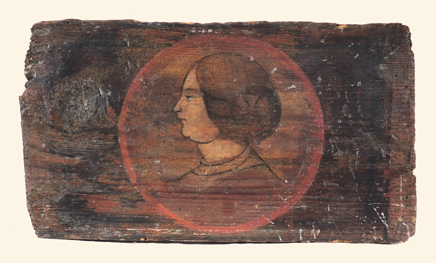 testa di donna