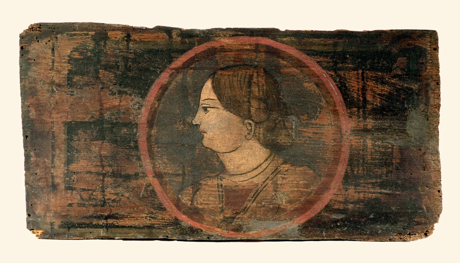 testa di donna