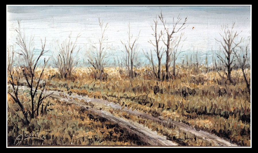 Strada di Palude di Castions