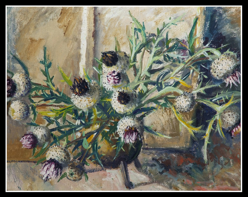 Cardi di monte