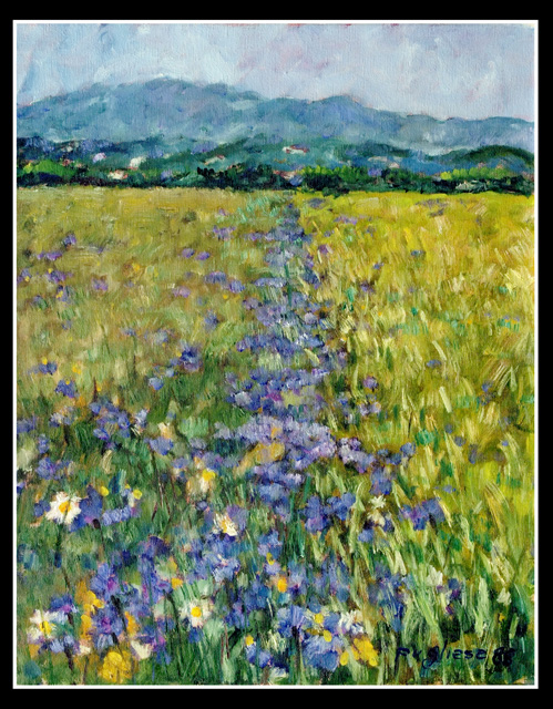 Fiordalisi nella campagna friulana