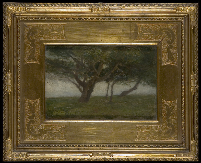 Un albero