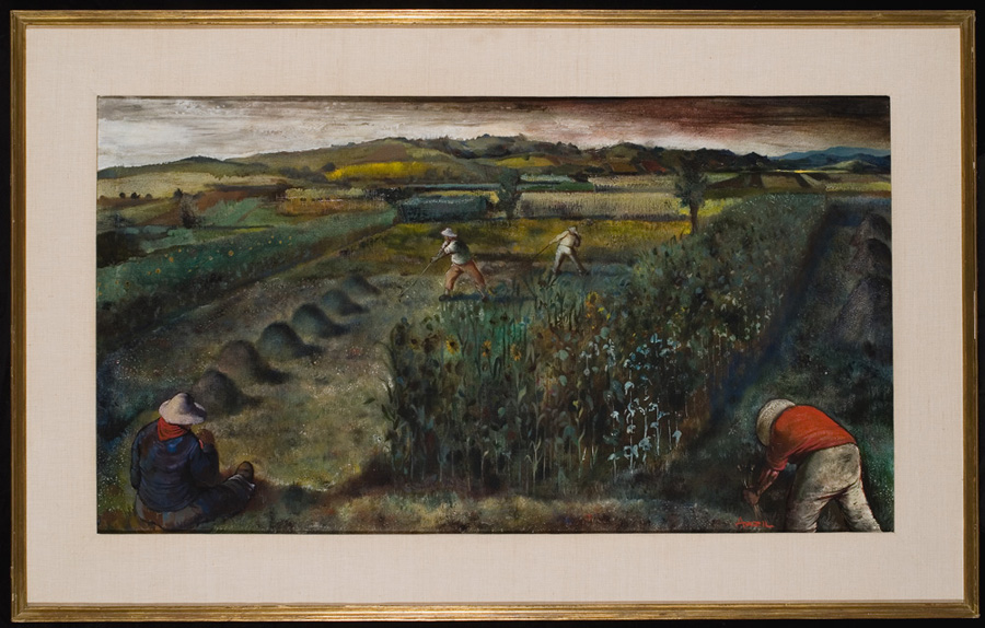 Campo di girasoli