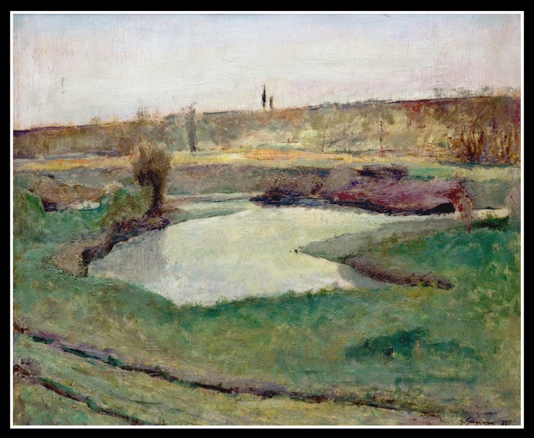Cormor verso sera