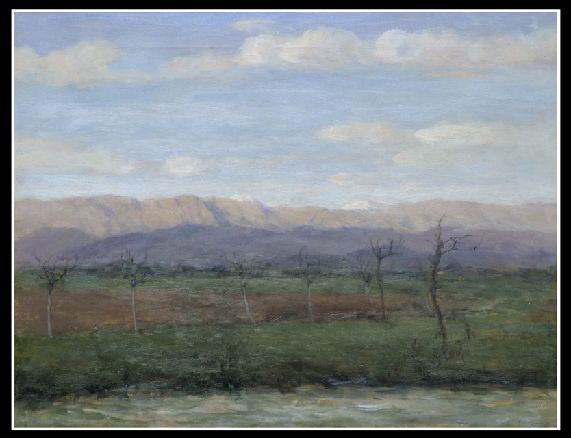 Primi di marzo - campagna trevigiana