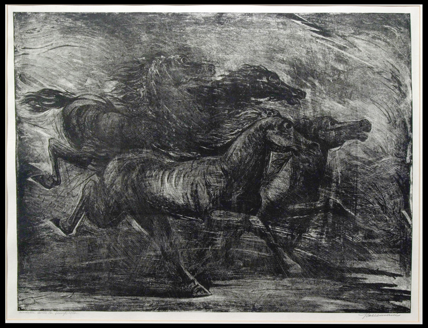 Cavalli sotto la tempesta