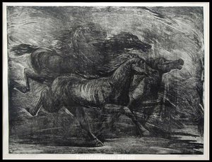 Cavalli sotto la tempesta