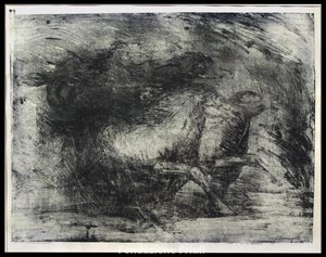 Cavalli sotto la tempesta