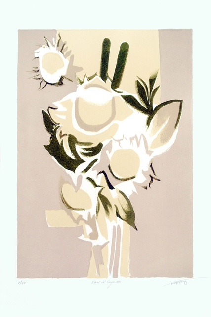 Fiori di laguna