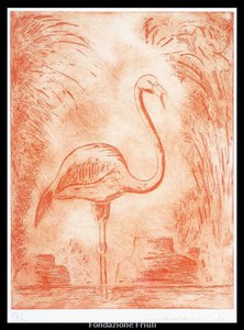 Animali quasi fantastici (trampoliere)