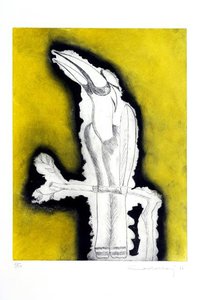 Animali quasi fantastici (tucano)