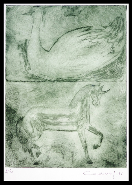 Animali quasi fantastici (cigno e cavallo)