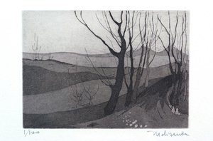 Paesaggio con alberi