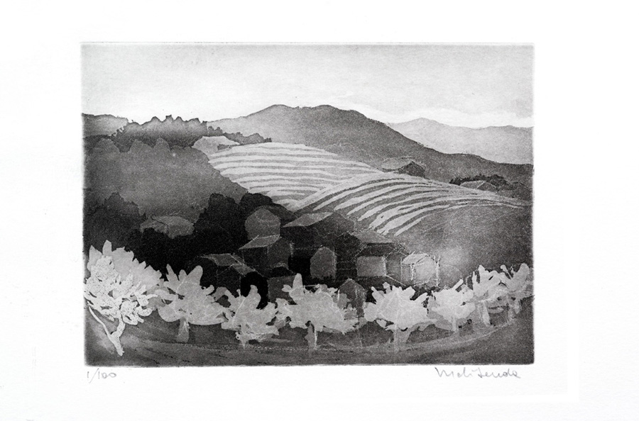 Paesaggio collinare