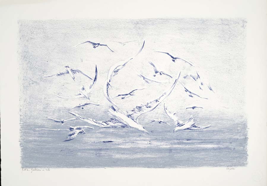 Gabbiani in volo